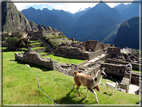 foto Machu Picchu